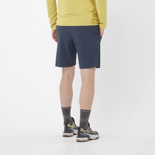 Шорты мужские Salomon Wayfarer Ease