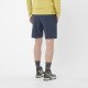 Шорты мужские Salomon Wayfarer Ease