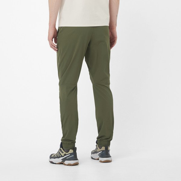 Брюки мужские Salomon Wayfarer Ease