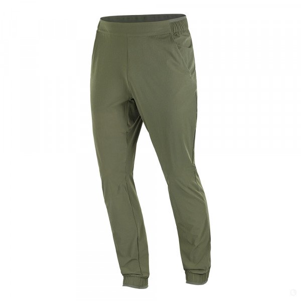 Брюки мужские Salomon Wayfarer Ease