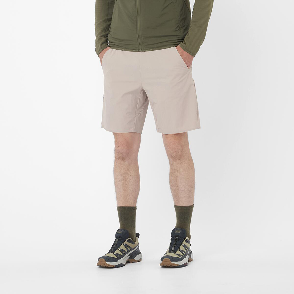 Шорты мужские Salomon Wayfarer Ease