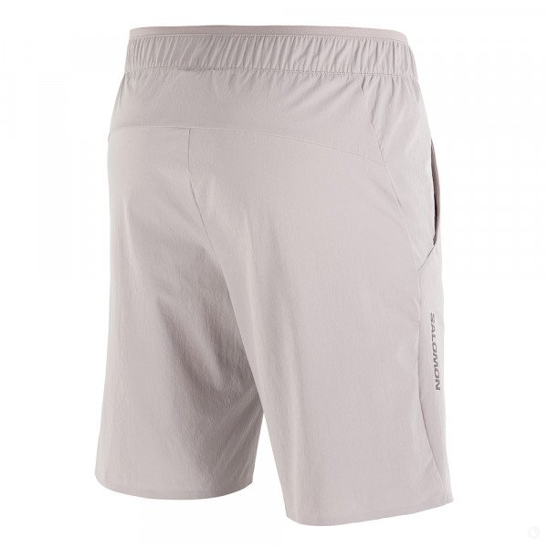 Шорты мужские Salomon Wayfarer Ease