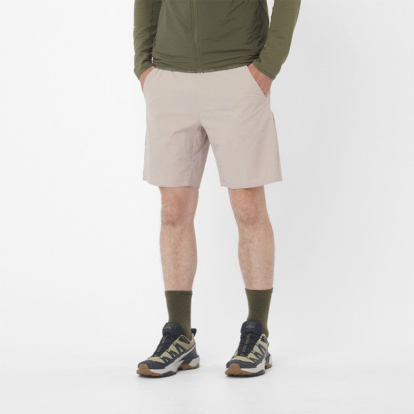 Шорты мужские Salomon Wayfarer Ease