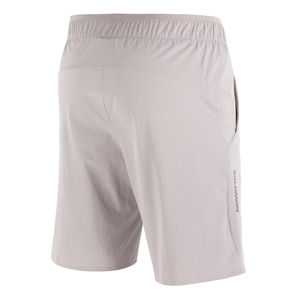 Шорты мужские Salomon Wayfarer Ease