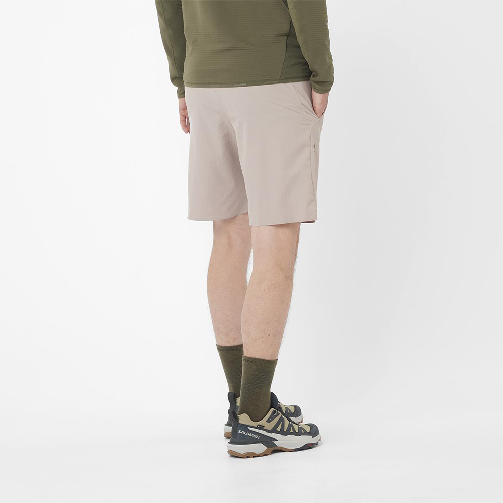 Шорты мужские Salomon Wayfarer Ease