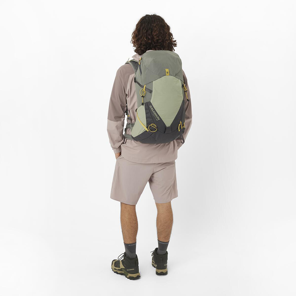 Шорты мужские Salomon Wayfarer Ease