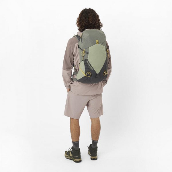 Шорты мужские Salomon Wayfarer Ease
