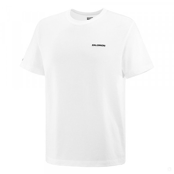 Футболка мужская Salomon Logo