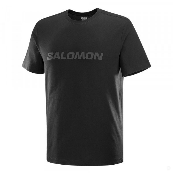 Футболка мужская Salomon Big Logo