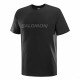 Футболка мужская Salomon Big Logo