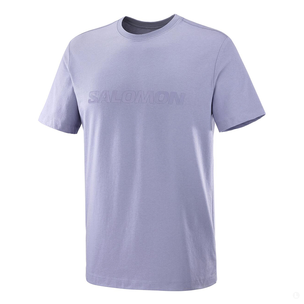 Футболка мужская Salomon Salomon Big Logo