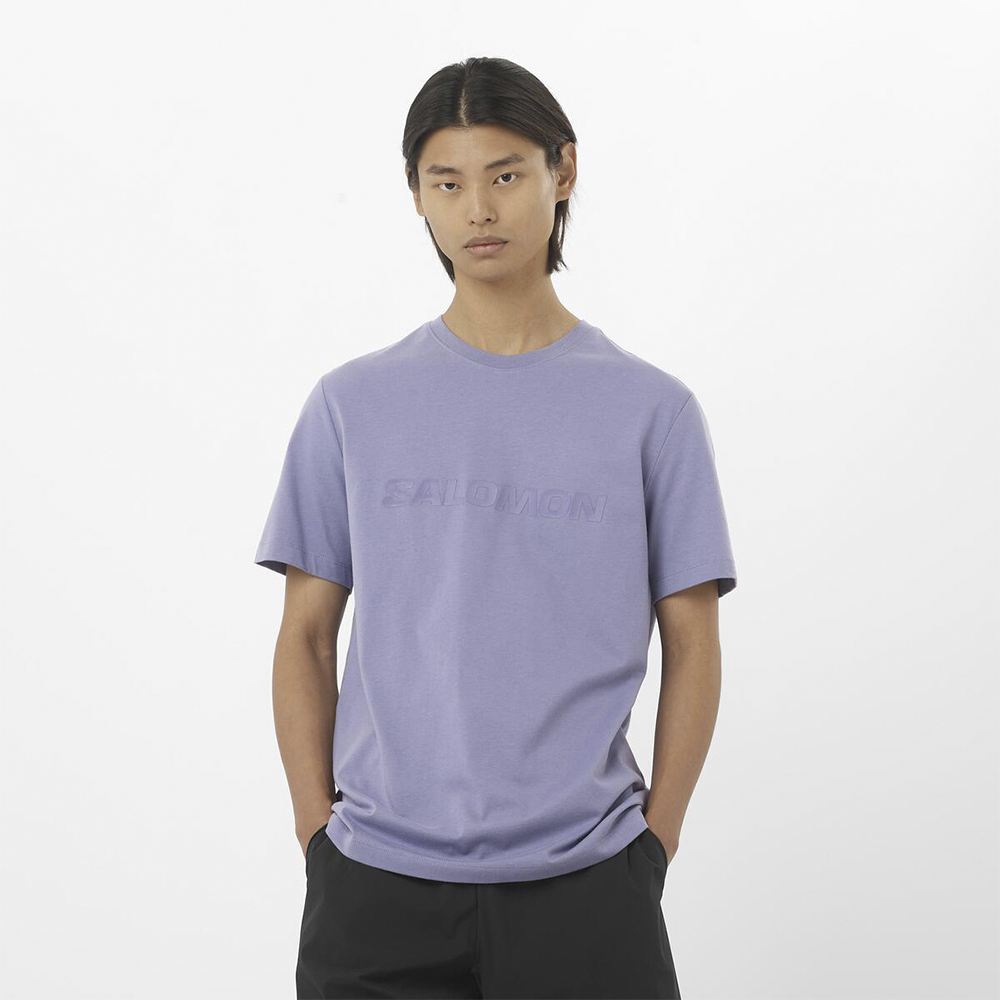 Футболка мужская Salomon Salomon Big Logo