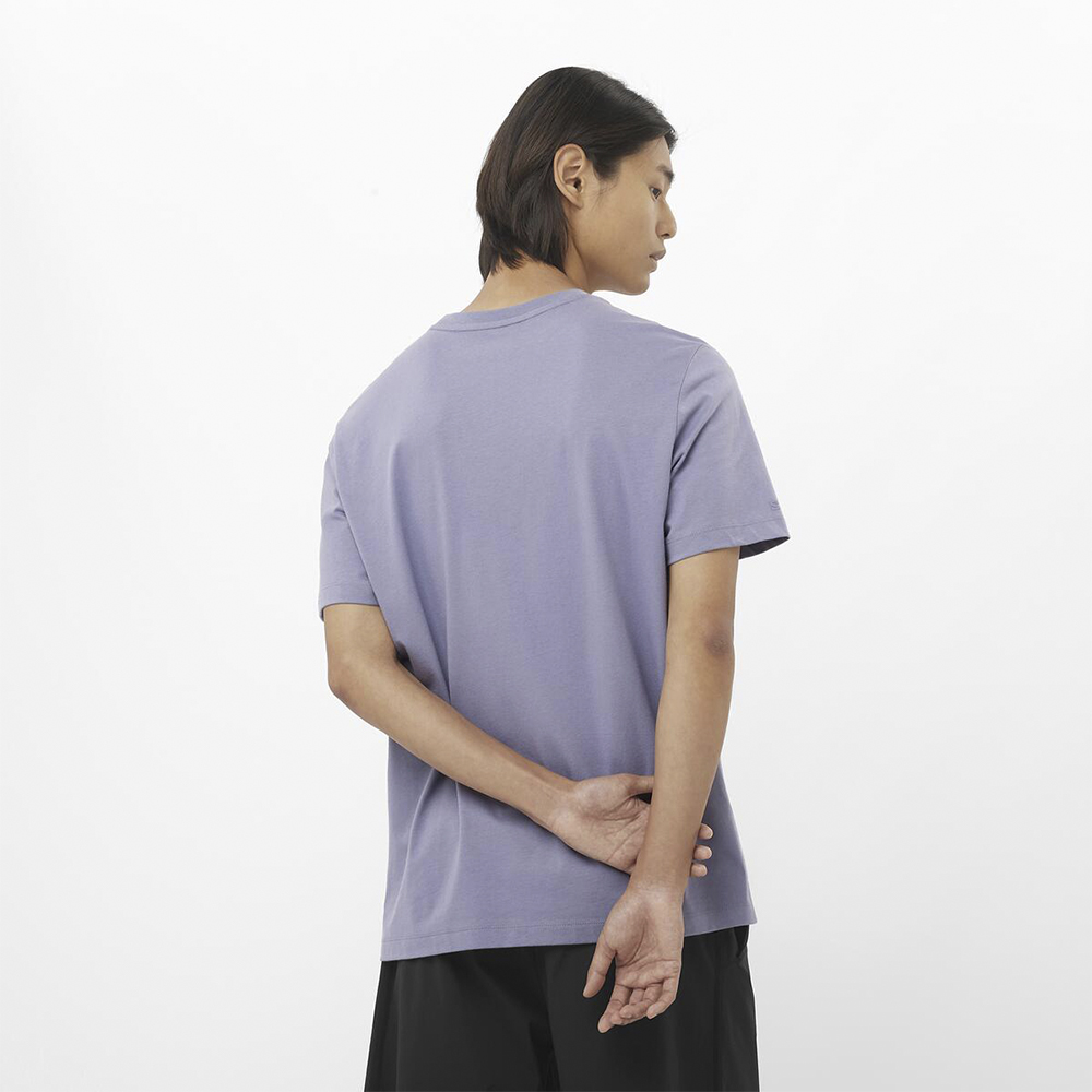 Футболка мужская Salomon Salomon Big Logo