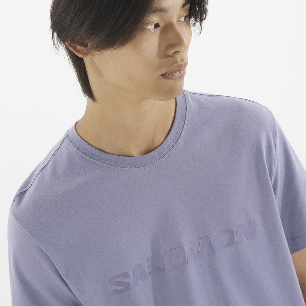 Футболка мужская Salomon Salomon Big Logo