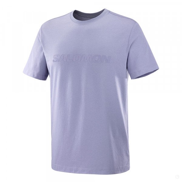Футболка мужская Salomon Salomon Big Logo