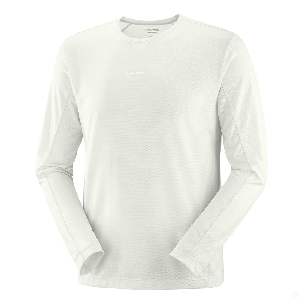 Лонгслив мужской Salomon Shkout Core