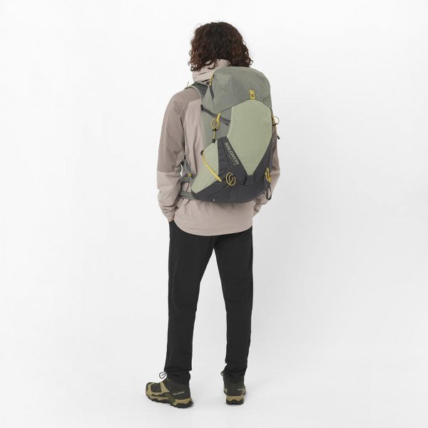 Брюки мужские Salomon Wayfarer Everyday
