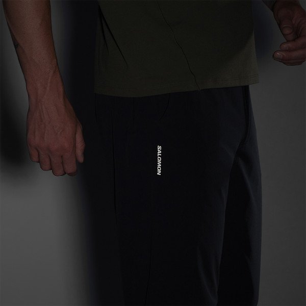 Брюки мужские Salomon Wayfarer Everyday