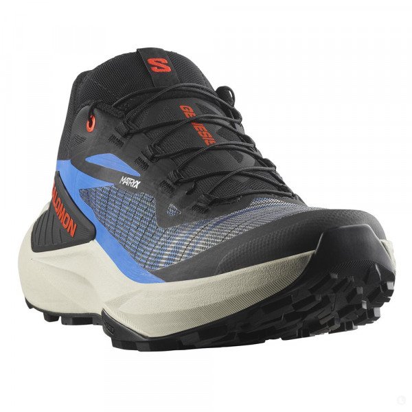 Кроссовки для бега мужские Salomon Genesis 
