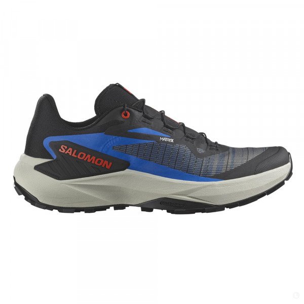 Кроссовки для бега мужские Salomon Genesis 