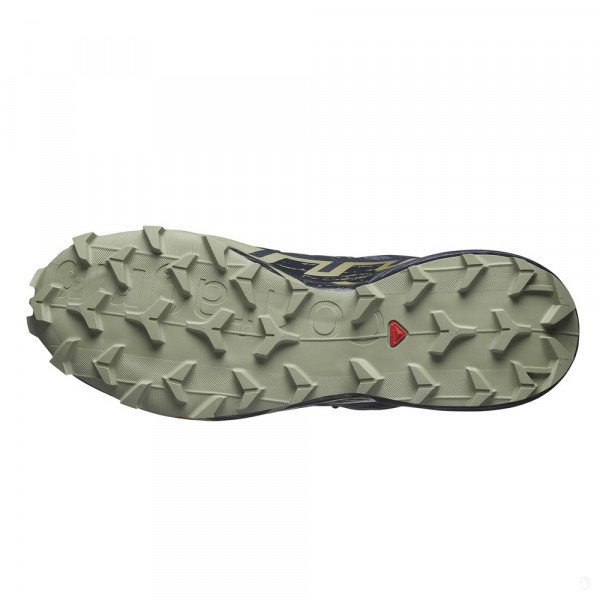 Треккинговые кроссовки мужские Salomon Speedcross 6 gtx 