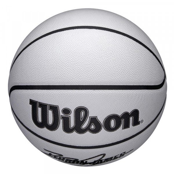 Мяч баскетбольный Wilson NBA Player Icon UV Lebron 