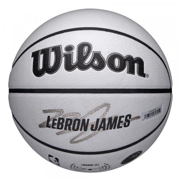 Мяч баскетбольный Wilson NBA Player Icon UV Lebron 