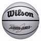 Мяч баскетбольный Wilson NBA Player Icon UV Lebron 