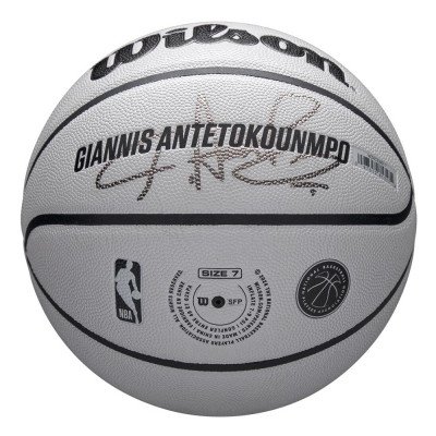 Мяч баскетбольный Wilson NBA Player Icon UV Giannis 