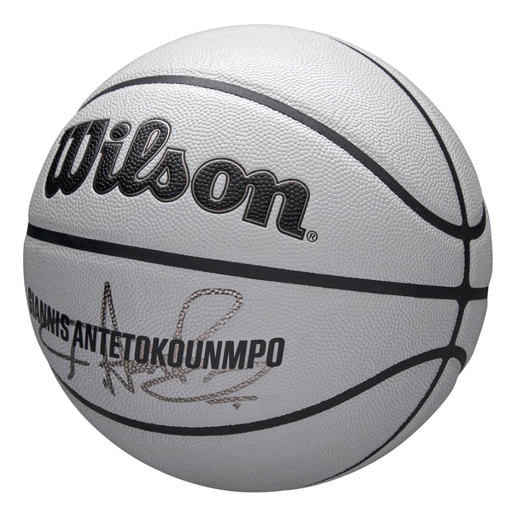 Мяч баскетбольный Wilson NBA Player Icon UV Giannis 