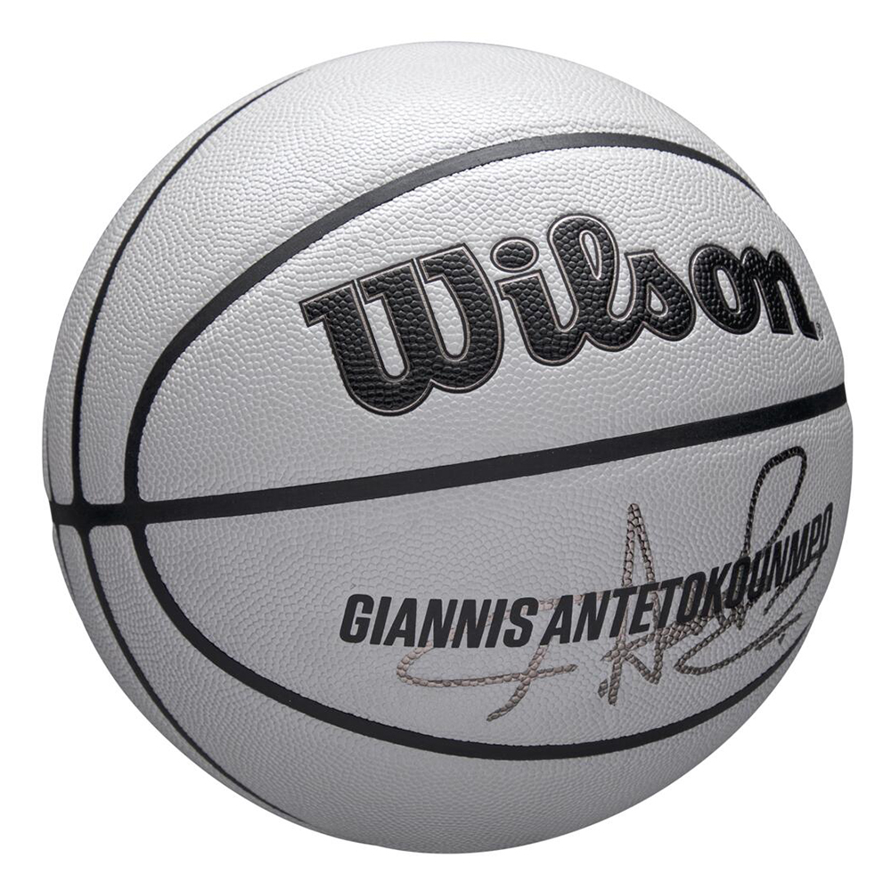 Мяч баскетбольный Wilson NBA Player Icon UV Giannis 