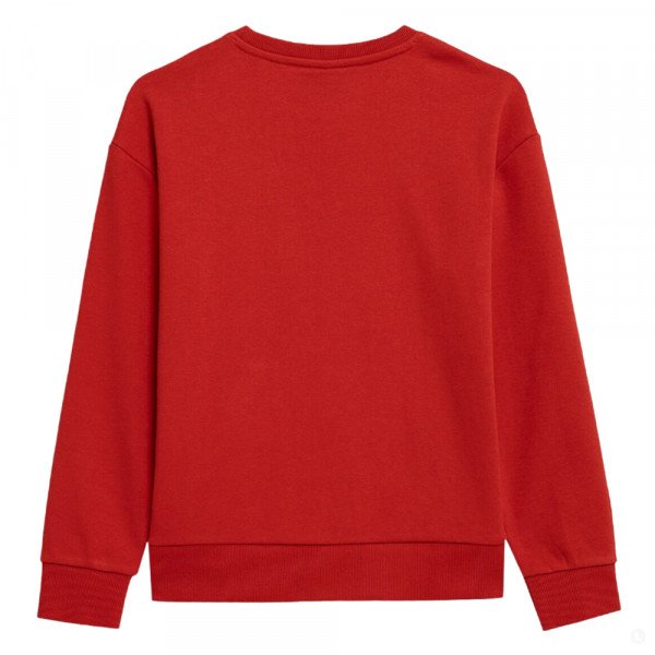 Толстовка детская 4F Cotton Boy красная