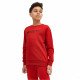 Толстовка детская 4F Cotton Boy красная