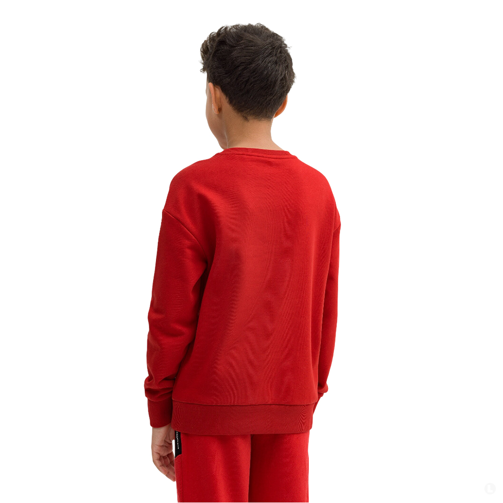 Толстовка детская 4F Cotton Boy красная Толстовка детская 4F Cotton Boy красная