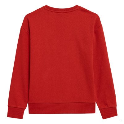 Толстовка детская 4F Cotton Boy красная Толстовка детская 4F Cotton Boy красная