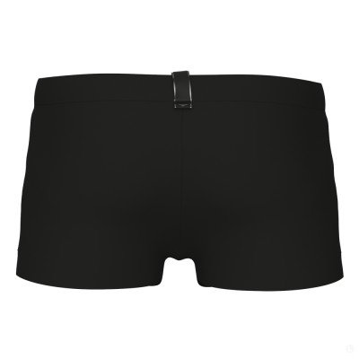 Шорты мужские пляжные Arena Evo swim  Шорты мужские пляжные Arena Evo swim
