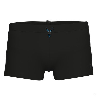 Шорты мужские пляжные Arena Evo swim  Шорты мужские пляжные Arena Evo swim