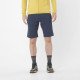 Шорты туристические мужские Salomon Wayfarer