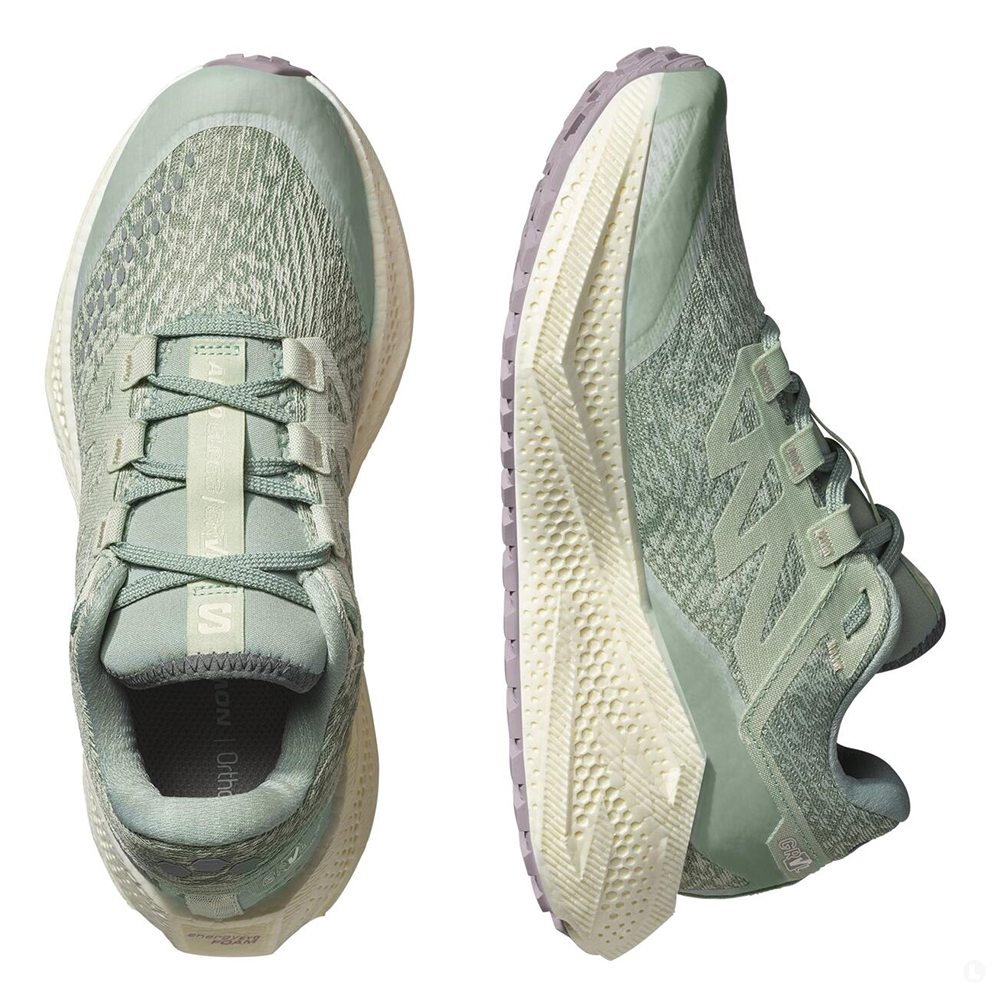 Кроссовки для бега женские Salomon Aero Glide 3 Grvl 