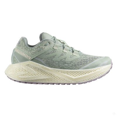 Кроссовки для бега женские Salomon Aero Glide 3 Grvl  Кроссовки для бега женские Salomon Aero Glide 3 Grvl
