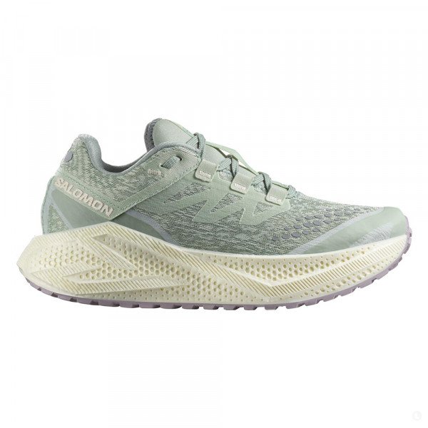Кроссовки для бега женские Salomon Aero Glide 3 Grvl 