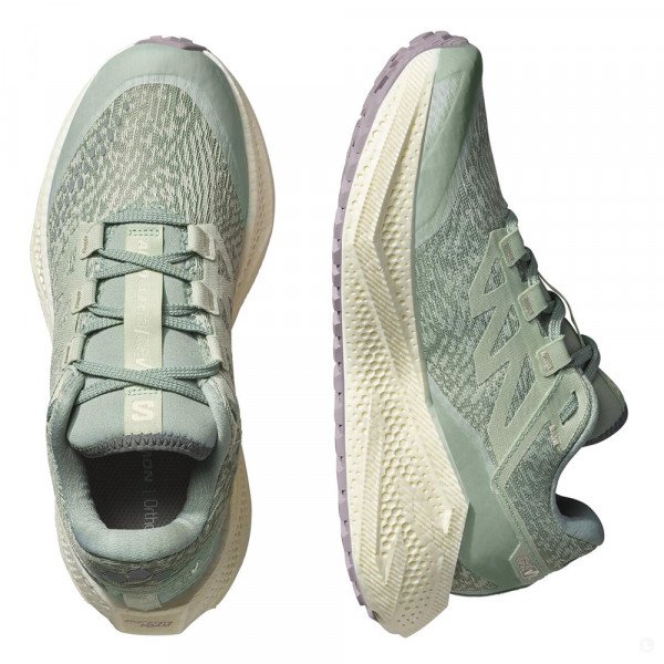 Кроссовки для бега женские Salomon Aero Glide 3 Grvl 