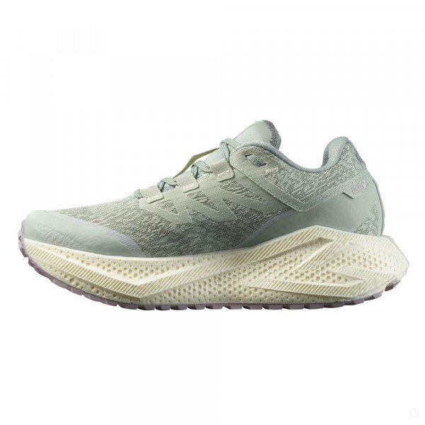 Кроссовки для бега женские Salomon Aero Glide 3 Grvl 
