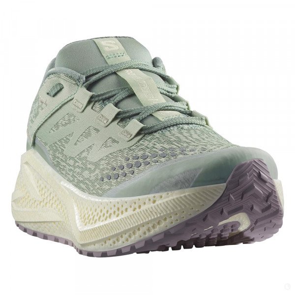 Кроссовки для бега женские Salomon Aero Glide 3 Grvl 
