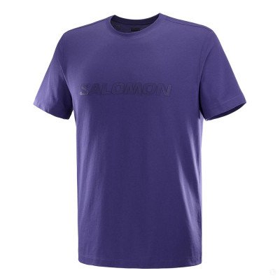 Футболка мужская Salomon Big Logo Футболка мужская Salomon Big Logo