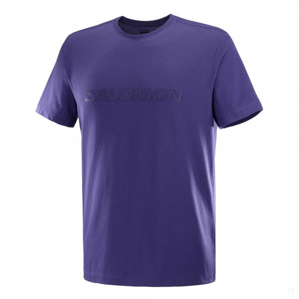 Футболка мужская Salomon Big Logo