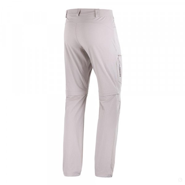 Брюки треккинговые мужские Salomon Wayfarer Zip Off