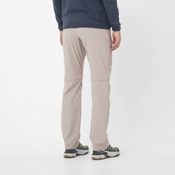 Брюки треккинговые мужские Salomon Wayfarer Zip Off