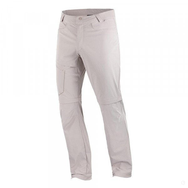 Брюки треккинговые мужские Salomon Wayfarer Zip Off