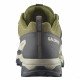 Треккинговые кроссовки мужские Salomon X ultra 5 